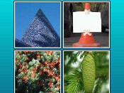 whats the word answers emerging games Cone