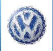 Whats The Icon Answer VW