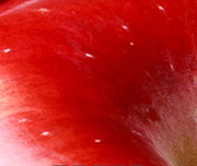 Zoomed In A close up of a red fruit Apple