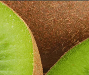 Zoomed In Two green fruits opened Kiwi 