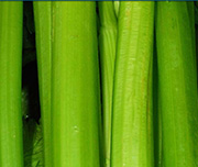 Zoomed In A bunch of green sticks Celery 