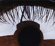 Zoomed In Eye lashes around a brown object Eye