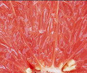 Zoomed In A fruit cut in half with a bright red inside Grapefruit 