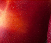 Zoomed In A birght red and yellow piece of fruit Nectarine 
