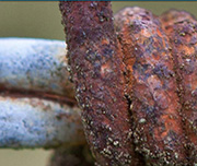 Zoomed In A rusty piece of metal that is sharp Barbedwire