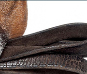 Zoomed In A brown piece of leather Leash 