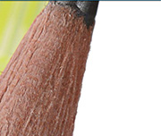 Zoomed In A brown object with a pointy black top Pencil 