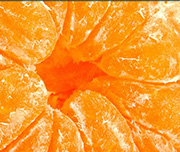 Zoomed In An orange with no skin on it Tangerine 