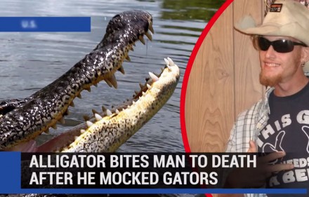 man insults gator, gets eaten by gator